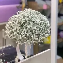 Jibsofil