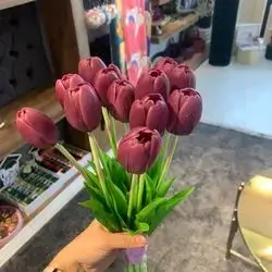 Tulip