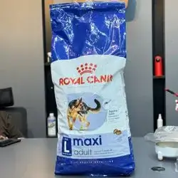Maxi Adult 15Kg