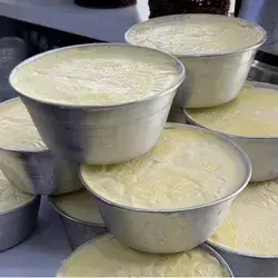 Yoghurt Family
