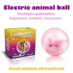 Hamster Toy