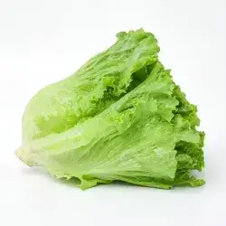 0.5 kg Lettuce