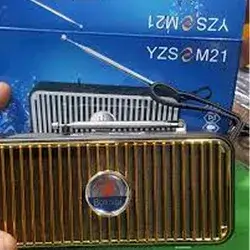 Speaker YZS M21