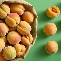 Indian Apricot