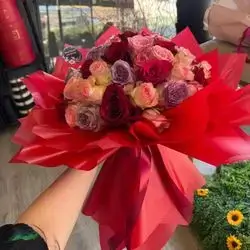 Colorful Rose