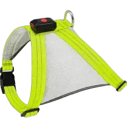Harness LED L