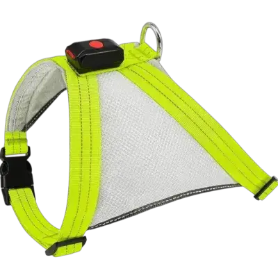 Harness LED L