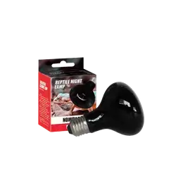 E894 Reptile Lamp