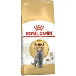 British Shorthair Adult 2 Kg