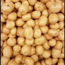 Iraqi Potatoes