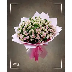 30 Baby Roses