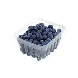 Blueberries Buckets 500g