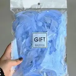 Feather box eccsuar