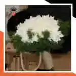 Flowers Bouquet