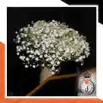Flowers Bouquet