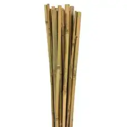 Gardener Bamboo Support Bar 60Cm
