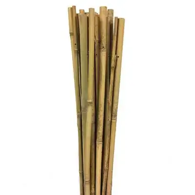 Gardener Bamboo Support Bar 60Cm