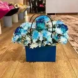 Blue Bag