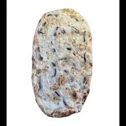 Pida Cheese and Mushroom