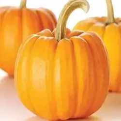 Pumpkin
