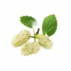 Whiteberry