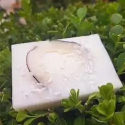 Coconut Soap