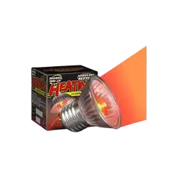 E897 Reptile Lamp