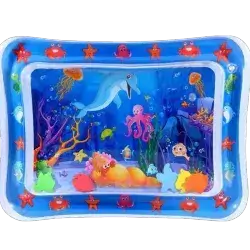 Cat Water play Mat