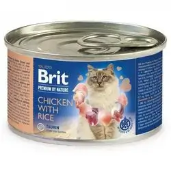Brit Chicken with Rice