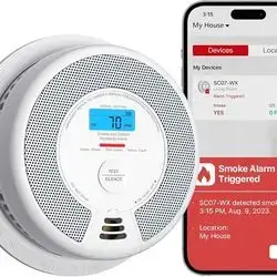 X-Sense Wi-Fi Combination Smoke Alarm