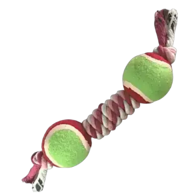 Dog Toy