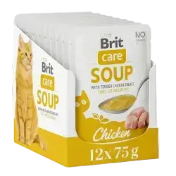Soup with Chicken 15x