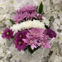 چەپکی دیاری