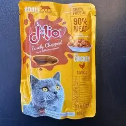 mio 100ge