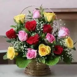 Basket Flower