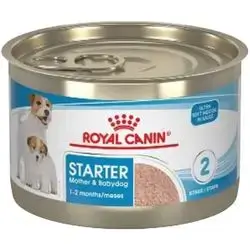 Starter Mousse 195g