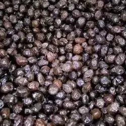 Qurmaji Olives