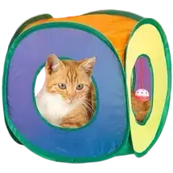 Cat tent 