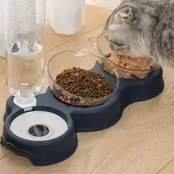 Dual Bowl & Water Dispencer