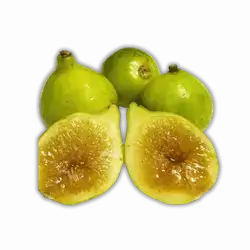 fig