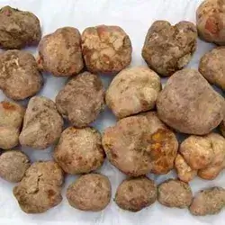 Dombalan