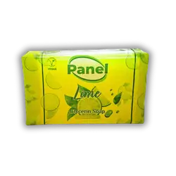 Panil soap 125 gm