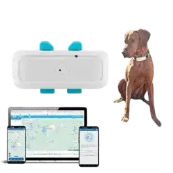Gps Tracker