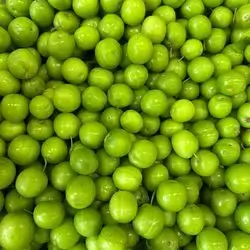 Duhok Greengage
