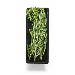 Fresh Tarragon Herbs Bunch