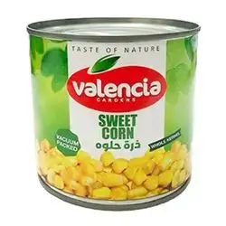 Valencia Sweet Corn 340g