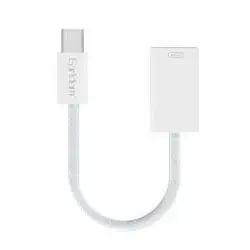 Earldom OT100 OTG Adapter USB-C Fast Charging 8-Pin To Usb-C