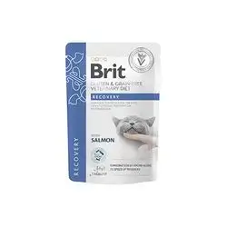 Brit Recovery 85 G