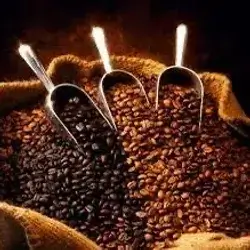 Brazilian Coffee Quarter Kilo