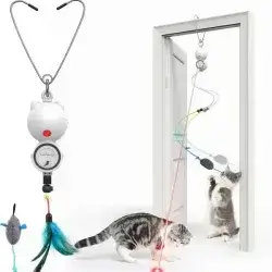 Smart Cat Toy 2 in 1